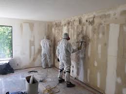 Asbestos and Lead Testing During Mold Inspection in Millersburg, OH